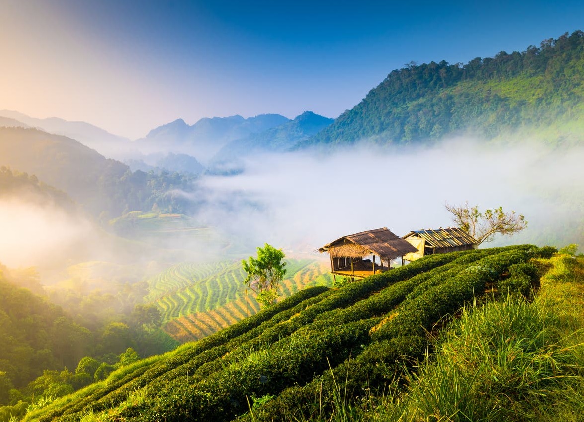 Thailand Weather Seasons